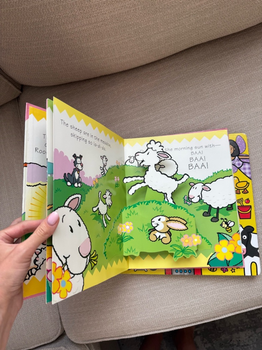 Set Books - Picture 8 of 10